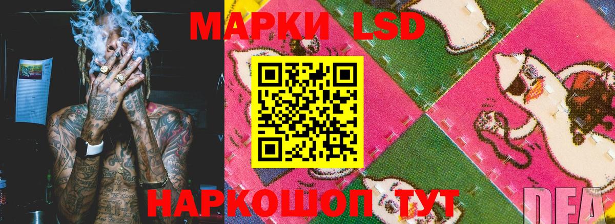 Марки N-bome  Наркотические марки 1,5мг  Наркотические марки 1,5мг  Вход с VPN  Екатеринбург 