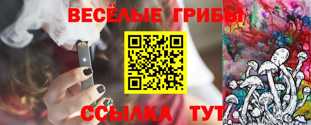Екатеринбург  Псилоцибиновые грибы прущие грибы  Вход с VPN 