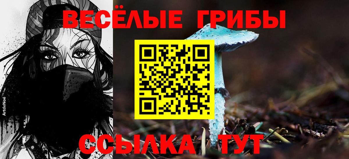 Галлюциногенные грибы MAGIC MUSHROOMS Екатеринбург